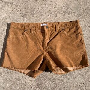 Carve Designs Oahu Shorts - Size 14